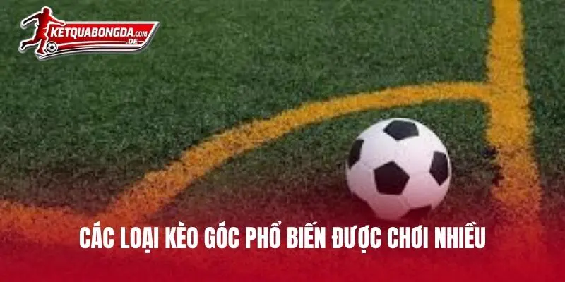 Các loại kèo góc phổ biến được chơi nhiều