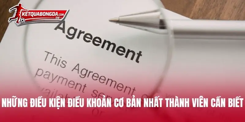 Những điều kiện điều khoản cơ bản nhất thành viên cần biết
